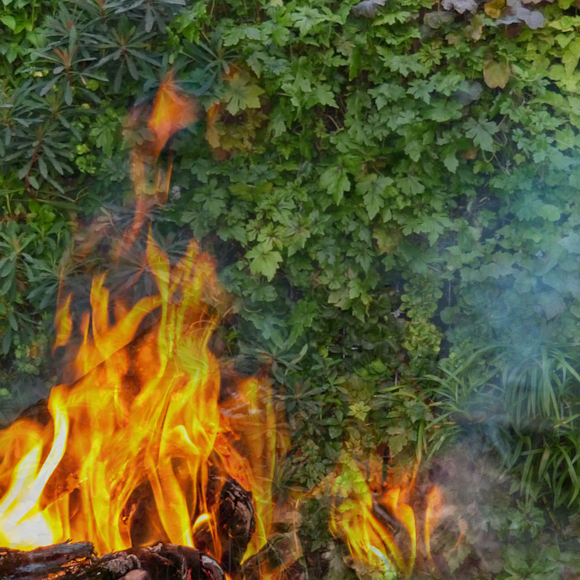 Viritopia Living Walls receive a Fire Safety Standard