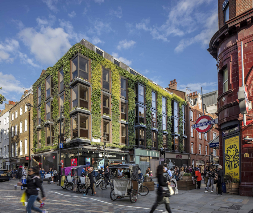 living wall outside a tube station