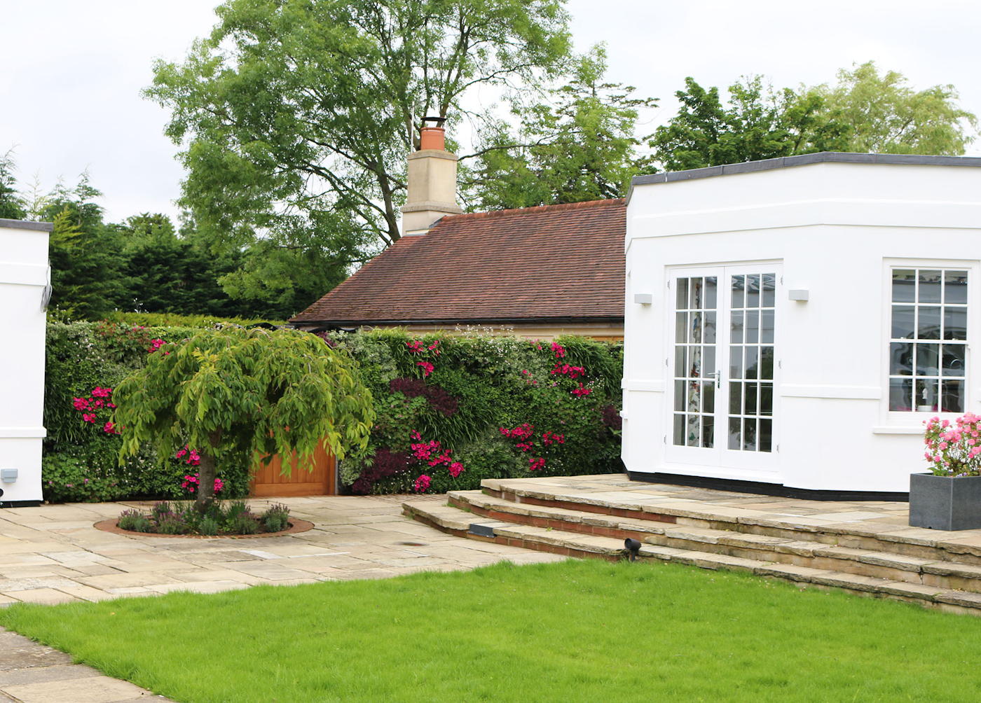 pink flowering living wall in a residential garden