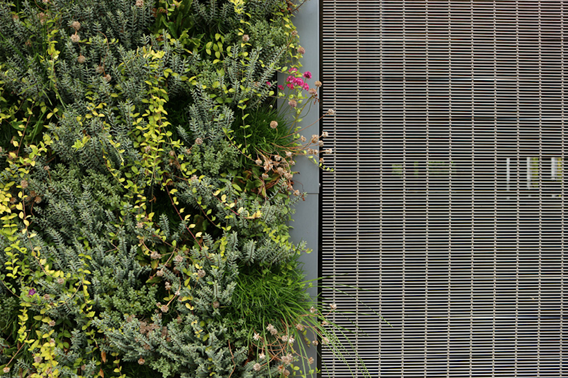 a living wall next to a steel mesh facade