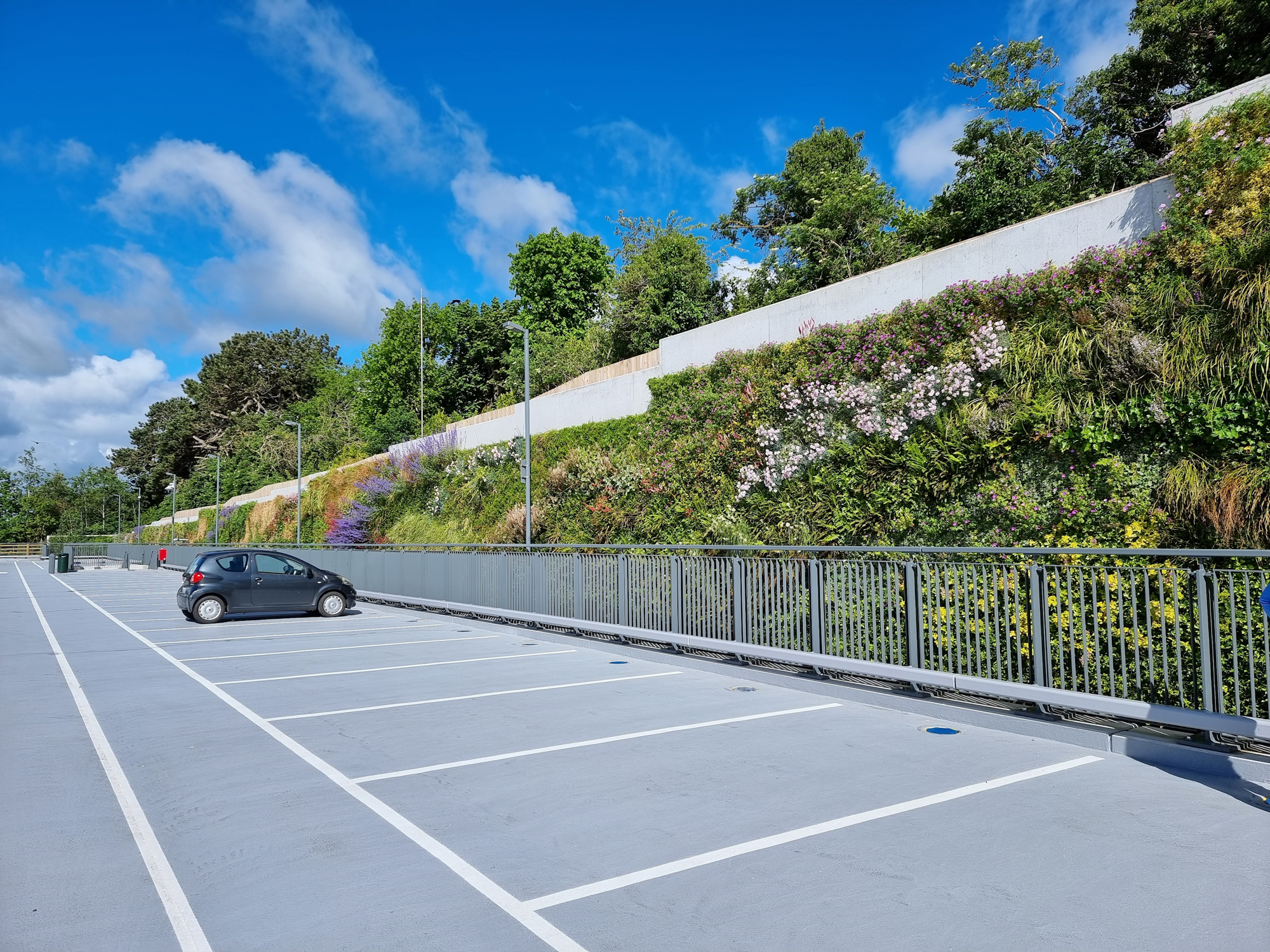 Pflanzen in der grünen Wand eines Parkplatzes