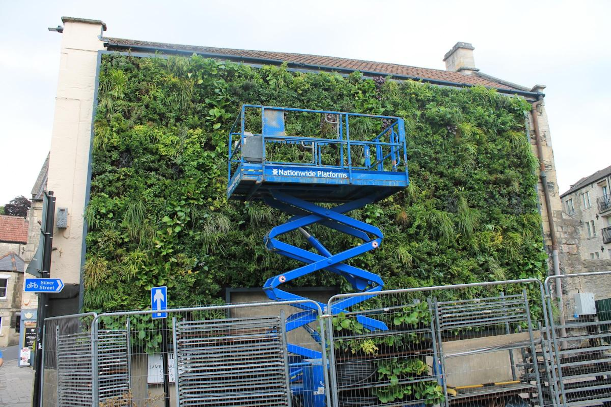 Viritopia installation team putting living wall up