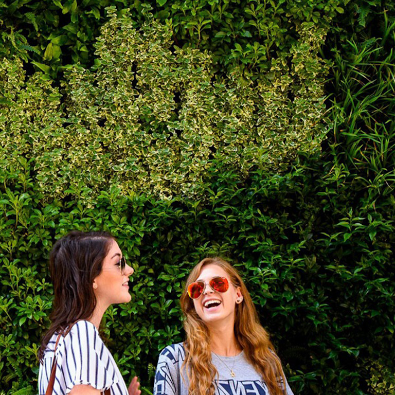 Eigentümer Lebende Wand & Gründach